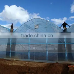 Film Greenhouse for Tomato and Other Vegetables thumbnail-4