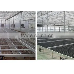 BaoLiDa pc Shed Greenhouse Hot-dip Galvanized Steel Pipe Structure for Roses thumbnail-4