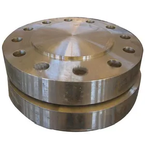 Plate Flange Astm A182 F310 Furniture And Diy Decor thumbnail-5
