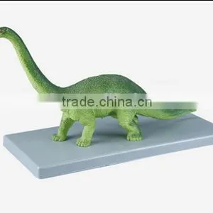 Diplodocus Model, Diplodocus Anatomical Model thumbnail-1