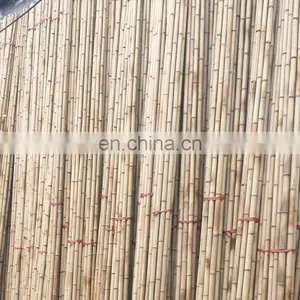 Top Quality Cheapest Price Raw Rattan Custom Size for Making Chair Table Decor Furniture From Viet Nam thumbnail-1