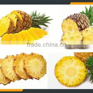 Leader Pineapple Peel and Pulp Separater With Low Power Consumption thumbnail-5