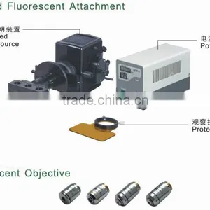 NIB-100F Professional Trinocular Inverted Fluorescent Biological Microscope With Camera thumbnail-2