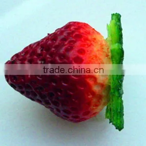 OEM USB Making Cheapest Price USB Food Series USB Drive thumbnail-1