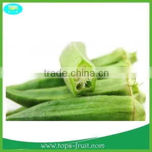 2015 Green Fresh Okra Vegetable thumbnail-1