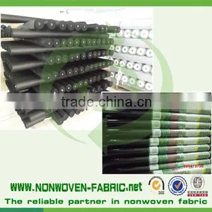 Anti-UV Treatment pp Spunbond Nonwoven Fabric Agriculture Cover/pp Spunbond Tunnel Supplier's Choice thumbnail-5