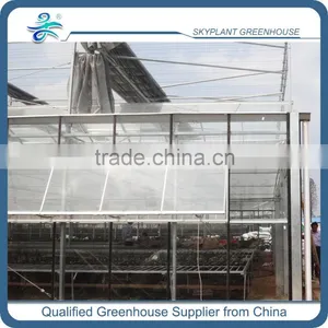 High Quality Glass Greenhouse for Vegetable Quality Choice thumbnail-4