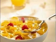 GOLDEN COUNTRY Crisp Toasted Breakfast Cereals Corn Flakes Machining Plant Machinery thumbnail-1
