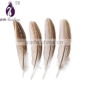 Dyed Loose Brown Hard Rod Wing Chicken Feathers Lots Sale thumbnail-1