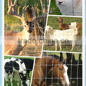 Cheap Agricutural Field Fence, Cattle Fence, Animal Fence From China Factory Price thumbnail-1