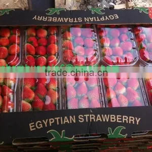 Fresh Strawberry thumbnail-1
