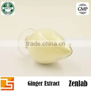 High Quality Gingerol Ginger Extract Ginger Root Powder thumbnail-2