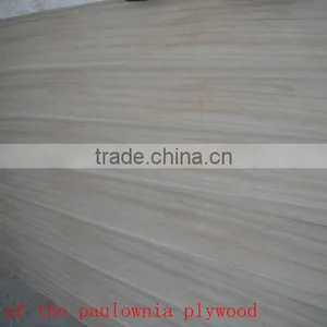 High Quality Plywood Door Designs Photos/price of Marine Plywood in Philippines thumbnail-2