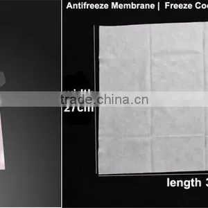 2016 Slimming Machine Like Cryo Slim Fast Freeze Home Use thumbnail-5
