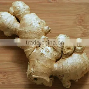 AIR DRIED GINGER 150G UP thumbnail-6