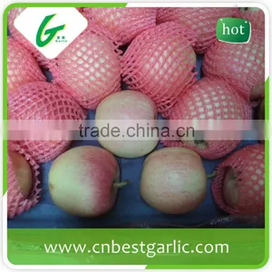 Fresh Chinese New Crop Red Gala Apple Wholesales thumbnail-3