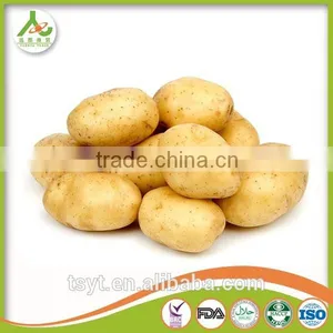 Best Quality Fresh Irish Potatoes Potato thumbnail-1