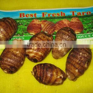 Fresh Taro thumbnail-1