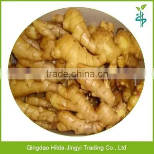 Chinese Fresh Ginger Wholesale Ginger Price thumbnail-1