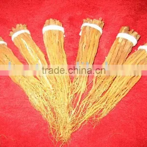 Panax Ginseng Tails thumbnail-1