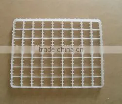 63 DUCK Egg Tray thumbnail-1