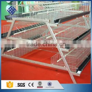 30 Years' Factory Supply Automatic Chicken Cage thumbnail-1