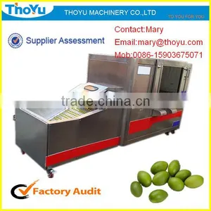 Olive Seed Separator/Olive Seed Separating Machine(SMS: 0086-15903675071) thumbnail-1