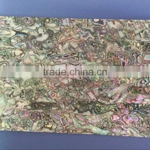 Modern Mexico Paua Shell Wallpaper For Interior Spa Decoration thumbnail-1