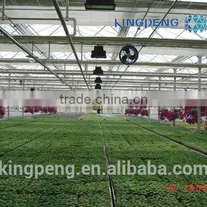 PC Sheet Greenhouses thumbnail-3
