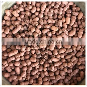 Hydroponic Growing Media Expanded Clay Pebbles thumbnail-2