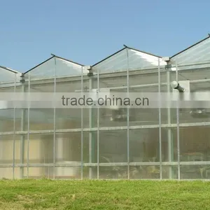 Venlo Design Plastic Sheet Polycarbonate Greenhouse Structure thumbnail-1