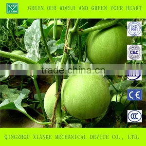 Multispan Plastic Film Greenhouse for Tomato Cucuber Flower Horticulture thumbnail-3