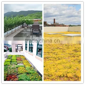 SOL 2015 Good-quality Green Roof System Roof Garden Planter Rooftop Plastic Box Planter thumbnail-1