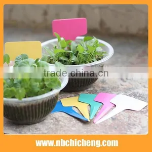 Garden Flower Markers Plastic Custom Plant Labels Printable Plastic Labels thumbnail-4