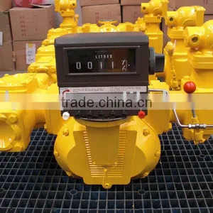 Positive Displacement Flow Meter thumbnail-1