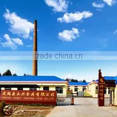 Dingtao Yongxing Food Co., Ltd. company overview - view 2 thumbnail