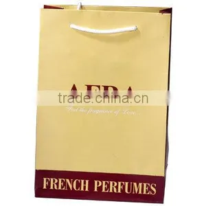 Brand Promotion Paper Bags With Logo and Brand Photos thumbnail-4