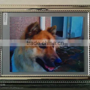 Women and Animal Sex Photo Frame thumbnail-1
