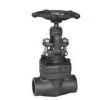 Forged Steel Sw Globe Valve(sale@bjvalves.com) thumbnail-1
