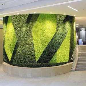 Kunming Foreverose Trading Co., Ltd company overview - view 4 thumbnail