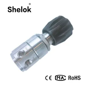 Laboratory High Back Pressure Regulators Pressures thumbnail-1