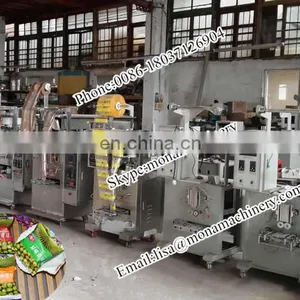 Vertical Small Plastic Bag 4 Sides Seal Ketchup/food/tomato Paste Automatic Packing Machine thumbnail-6