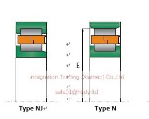 NU 202 E NJ 203 NU 203 M NU 203 EM NU 2203 E NJ 2203 E NUP 2203 E NU 303 Cylindrical Roller Bearings thumbnail-2