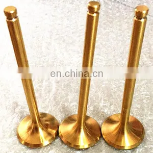 100cc 250cc Motorcycle Parts Engine Valves For Pagsta Choppa 100 Cruisa 250 KRB 250 Krb250 Sports thumbnail-2