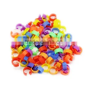 Colorful Rubber Ring Racing Pigeon thumbnail-1