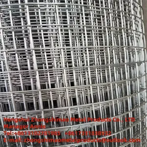 Galvanized Wire Mesh  thumbnail-4