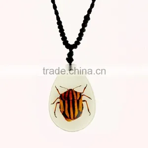 2016 Hot-selling Novel Gifts Resin Necklace With Real Insect thumbnail-6