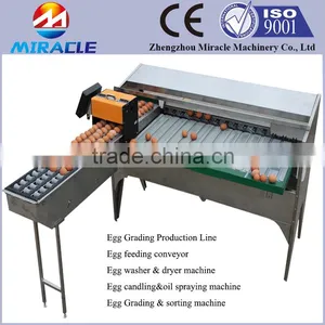 Eggs Washing, Drying, Candling, Oil Spraying and Grading Egg Machine, 100% Stainless Steel Egg Grading Machines thumbnail-1