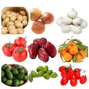 Sorting Grading Machine for Large Fruit Grapefruit Pomelo Cantaloupe Coconut Fruit Weight Classifier Fruit Processing Line Optical Sorter thumbnail-5