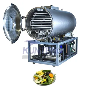 Efficient Industrial Durian Apple Slices Strawberries Okra Potatoes Milk Vacuum Freeze-drying Machine thumbnail-1